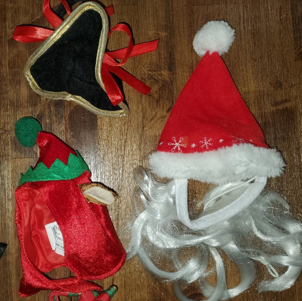 10 Piece Cat / Small Dog Christmas / Halloween Costume Bundle